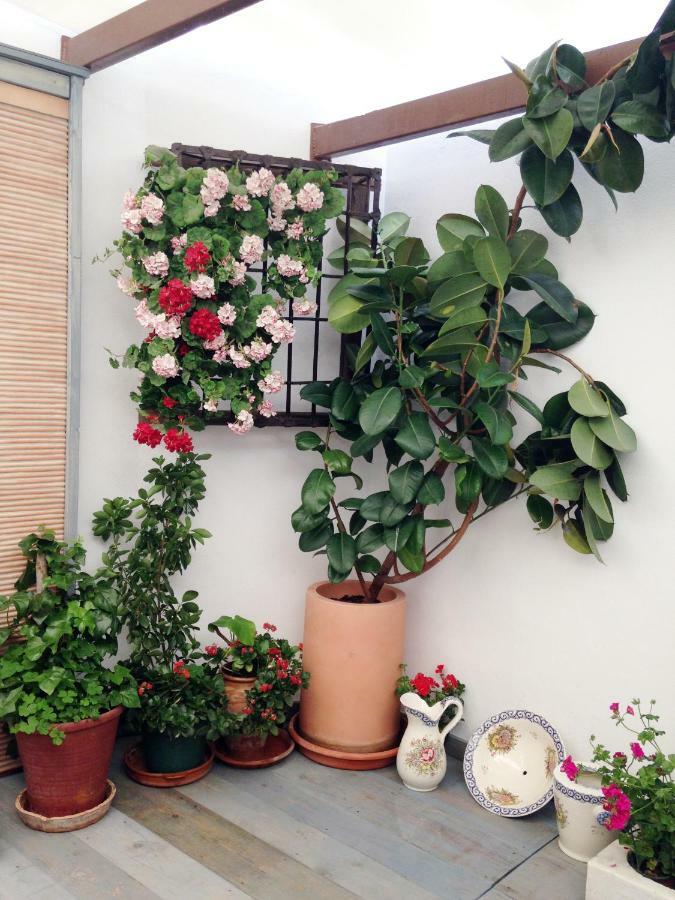 Patio San Lorenzo Córdoba Kültér fotó